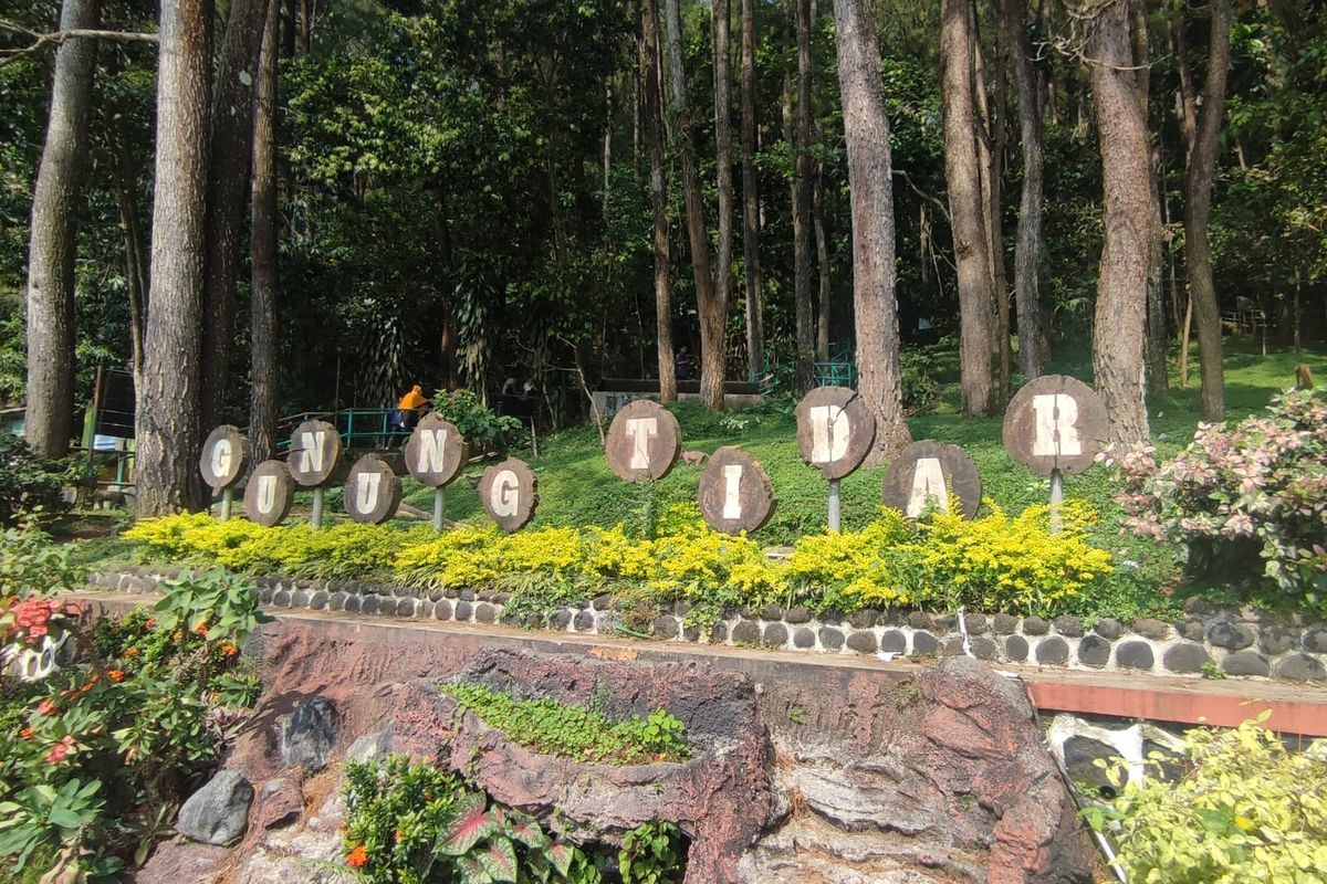 Wisata